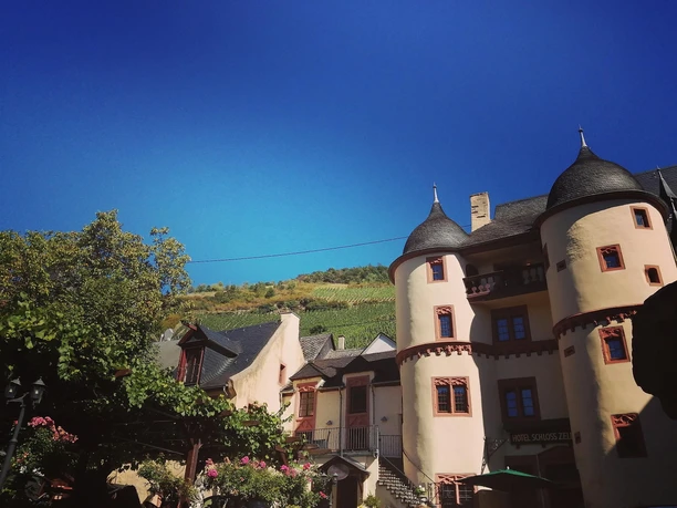 Blick auf Schloss Zell (Mosel)