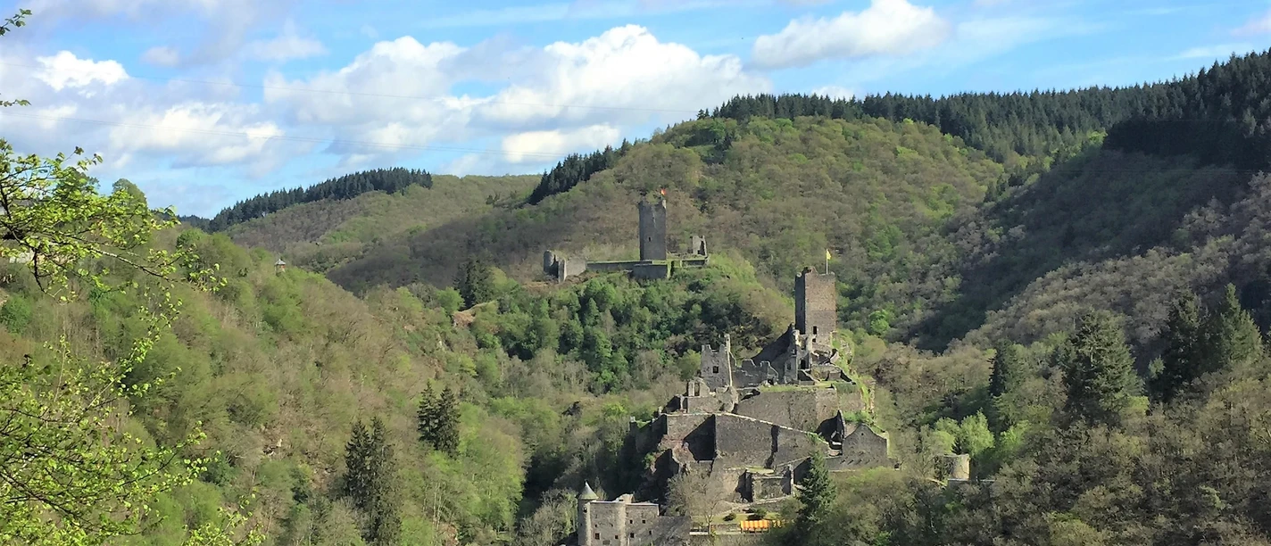 Blick auf die Manderscheider Burgen