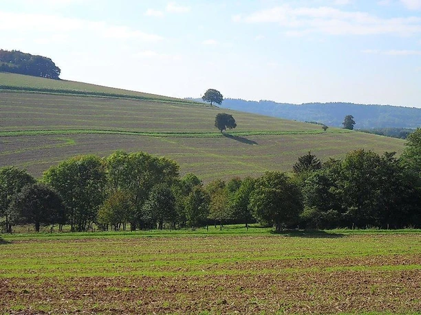 Landschaft im Sankt Wendeler Land