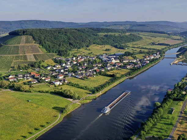 Blick auf die Weinlage Ayler Kupp