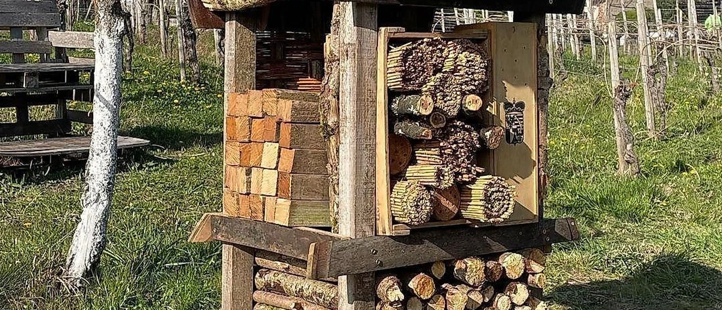 Lebensturm Lebensturm