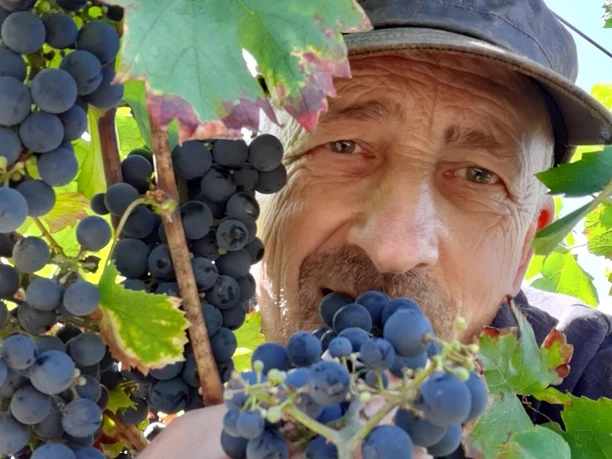 Profilbild mit Trauben