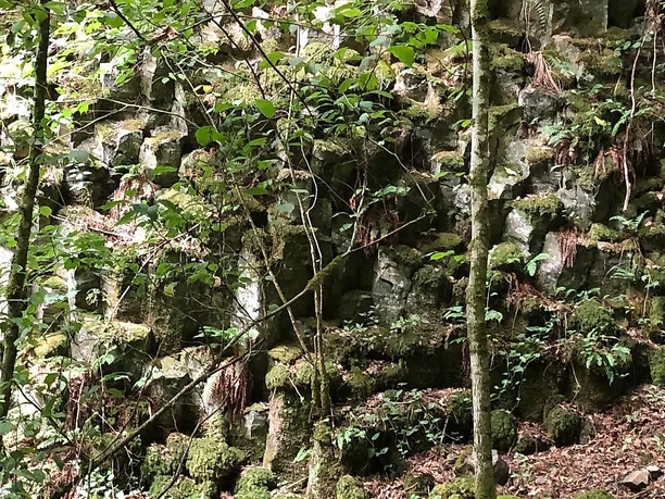 Wolfsschlucht Basaltsäulen