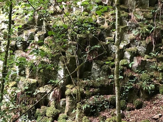 Wolfsschlucht Basaltsäulen