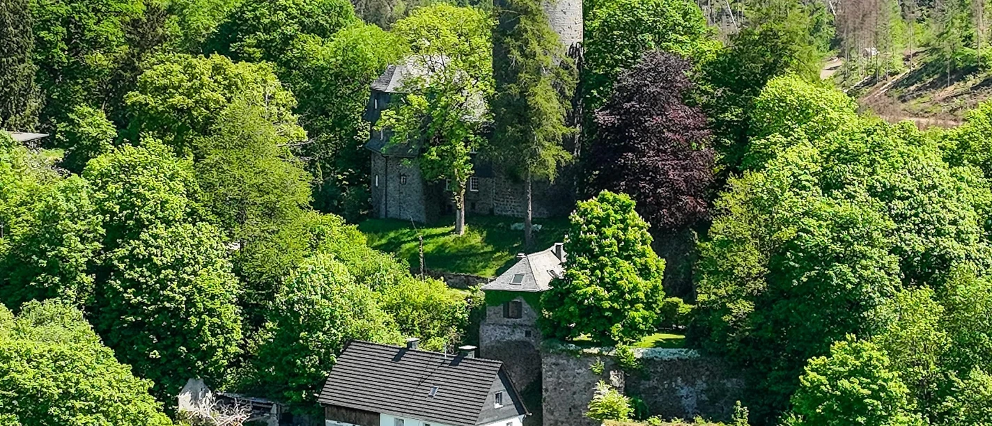 Wildenburg Wildenburg
