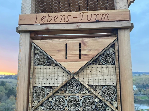 Lebensturm (3)