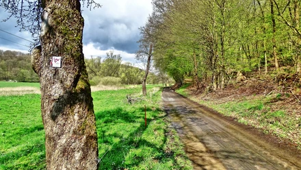 Durchs Salzbödetal
