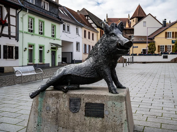 Marktplatz Kirchheimbolanden - Wutz
