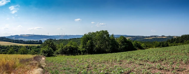 Panoramablick