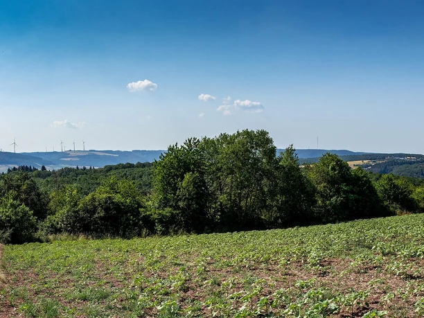 Panoramablick