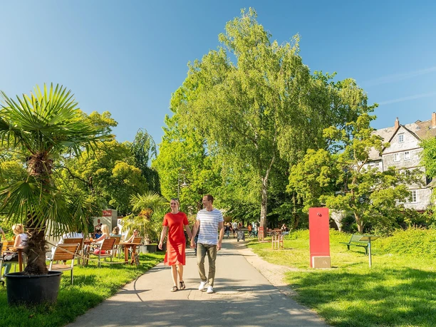Blick in die Colchester-Anlage mit Weingarten