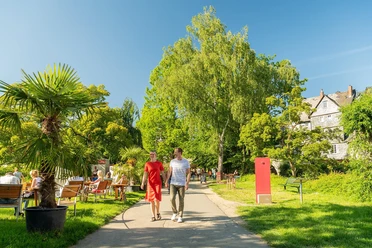 Blick in die Colchester-Anlage mit Weingarten
