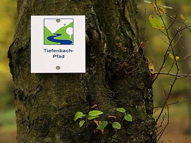 Der Tiefenbachpfad