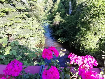 Blick auf die Queich in der Ortsmitte in Siebeldingen