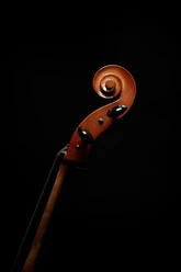 Violoncello