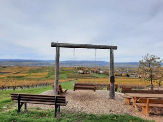 Wingertsschaukel Rheinhessenblick
