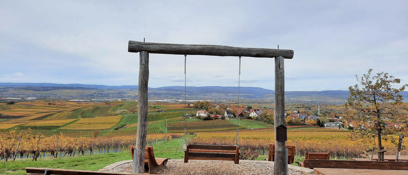 Wingertsschaukel Rheinhessenblick