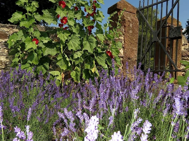 Pfarrgarten Greimerath
