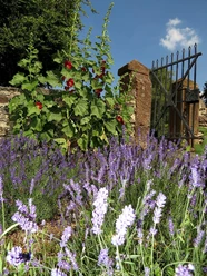 Pfarrgarten Greimerath