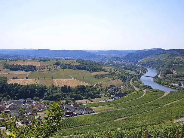 Saar-Riesling-Steig (03) Saar-Riesling-Steig (03)