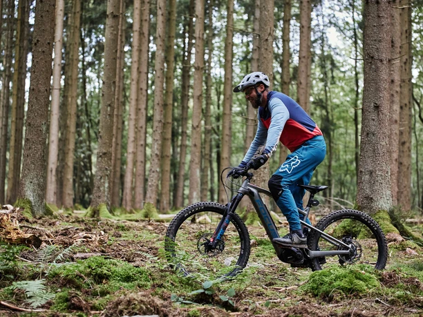Radfahrer im Wald
