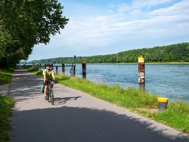 Auf dem Rheinradweg euroVelo15