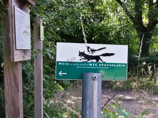 Wegemarkierung Weinrundwanderweg Heuchelheim