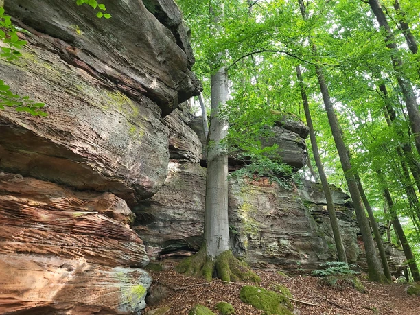 Hubertusfelsen auf dem Ringelsberg