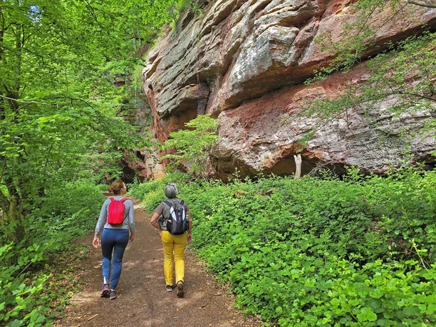 Kollesleuker Schweiz (1) Kollesleuker Schweiz (1)