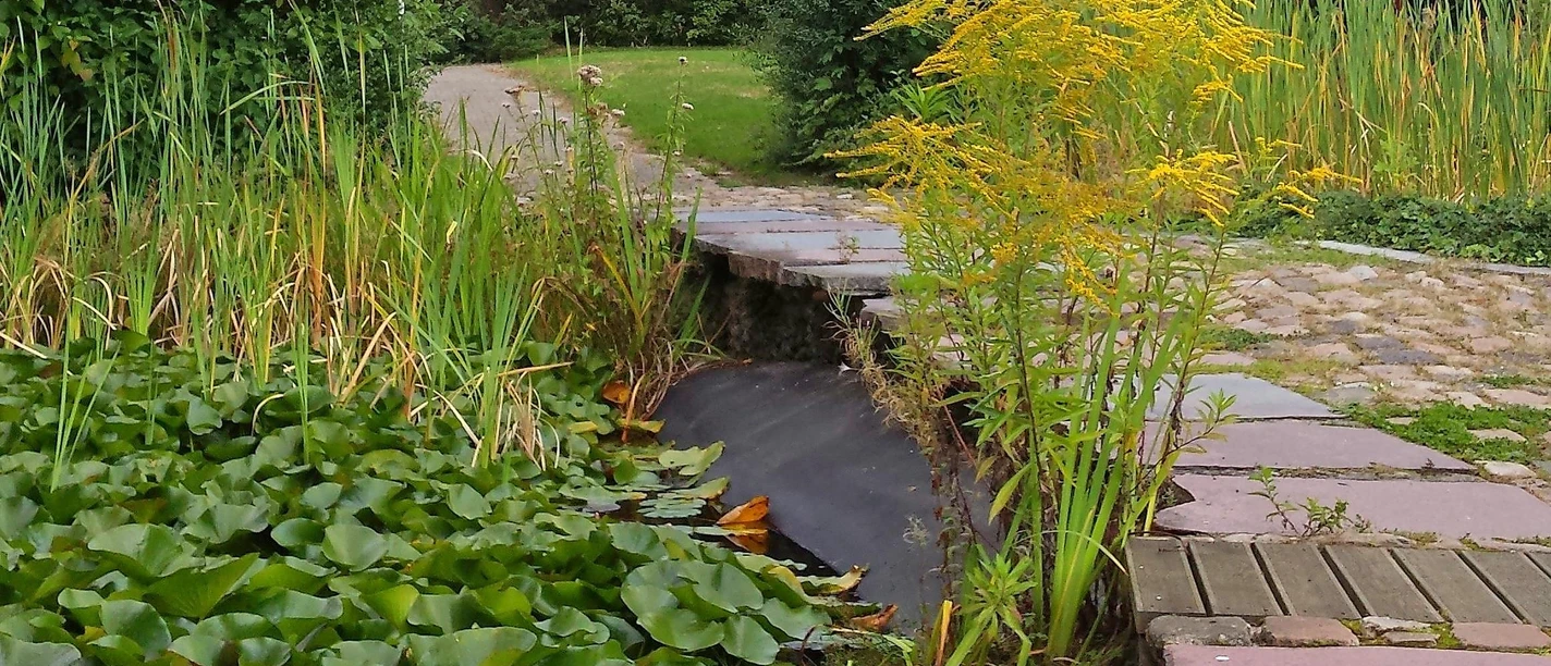 Teich im Kurpark