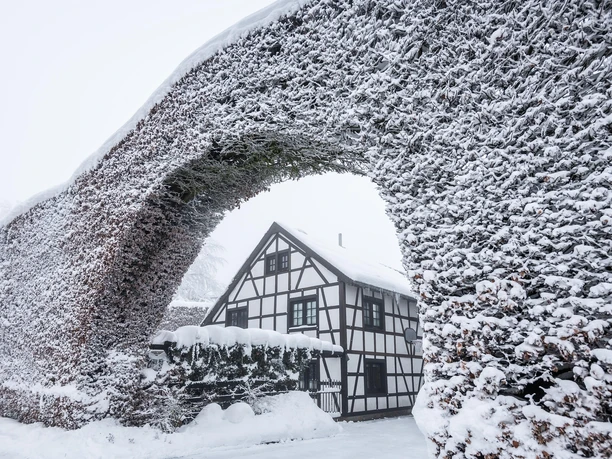 Monschauer Heckenlandschaft im Winter