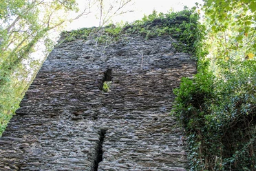 Burg Stein