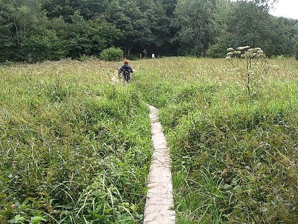 Auf dem Rötelsteinpfad