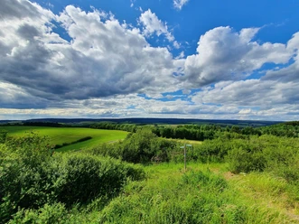 Eifel-Blick Gondenbrett