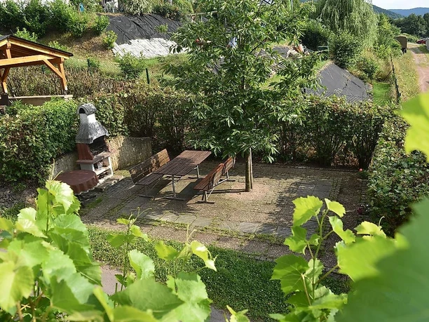 Weingut Borens Wiltingen (05) Weingut Borens Wiltingen (05)
