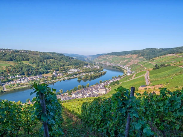 Zell Mosel