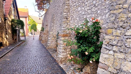 Kirchenmauer Eppelsheim
