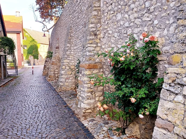 Kirchenmauer Eppelsheim
