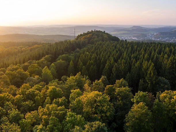 Keltenpfad Ditzenley Aussicht
