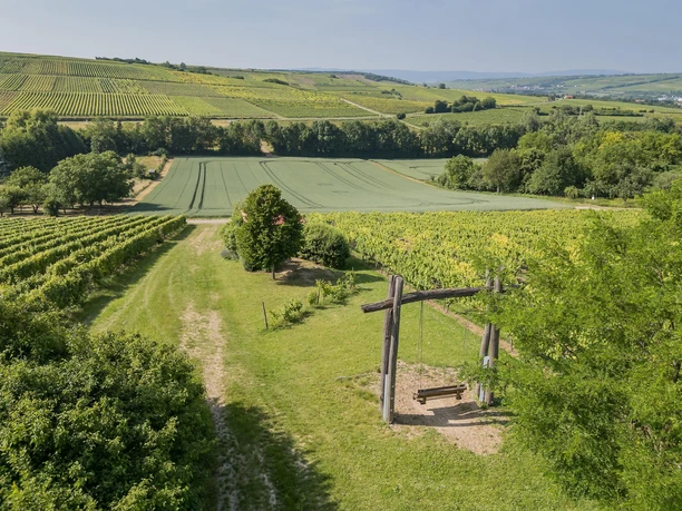 Engelstadt Weinbergschaukel Engelstadt Weinbergschaukel