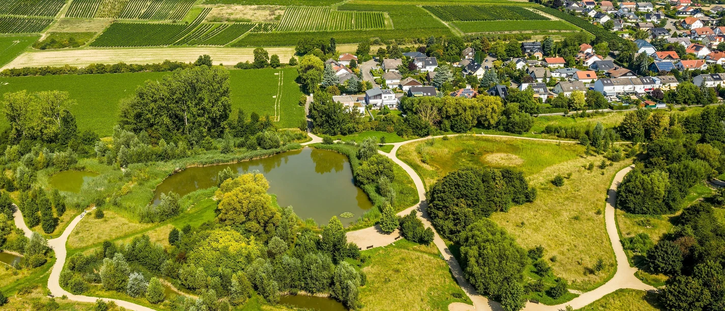 Mühlbachaue