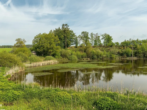 Vulkanpfad, Eichholzmaar