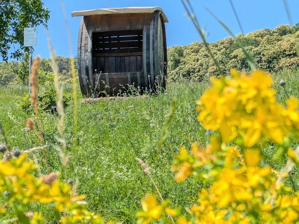 Platz nehmen und Aussicht genießen