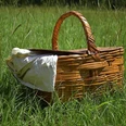 Picknickkorb