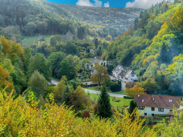 Blick auf Rinnthal