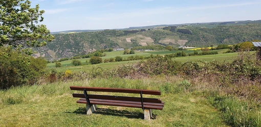 Schönburgblick