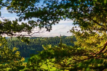 Ausblick Eifel-Blick