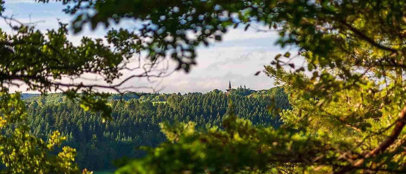 Ausblick Eifel-Blick