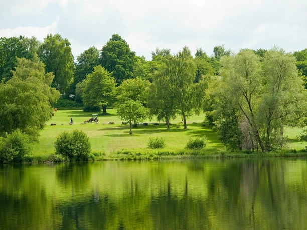WesterwaldSteig Heisterberger Weiher 2