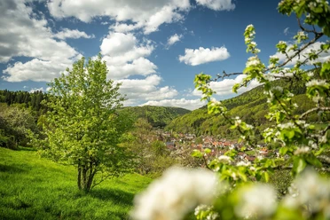 Streuobstwiesen
